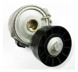 PEUGEOT-CITROEN ALTERNATOR GERGİ  RULMANI 406-PARTNER BOXER DW10