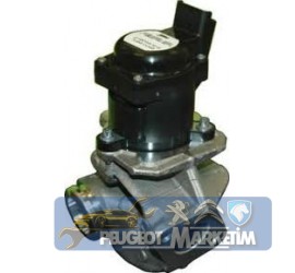 PEUGEOT -CİTROEN -FORD-MAZDA -EGR VALFİ