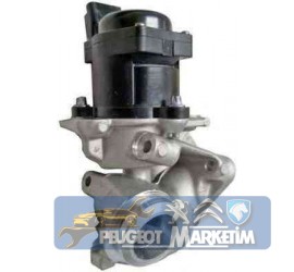 PEUGEOT -CİTROEN -FORD-MAZDA -EGR VALFİ