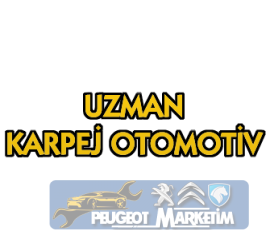 PEUGEOT 407 SİLECEK MOTORU